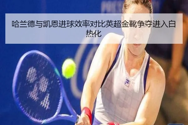哈兰德与凯恩进球效率对比英超金靴争夺进入白热化