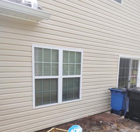 Tree Frog Roof and Exterior Cleaning: Service Image-2 Tree Frog Roof and Exterior Cleaning: Service Image-2