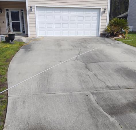 Tree Frog Roof and Exterior Cleaning: Service Image-3 Tree Frog Roof and Exterior Cleaning: Service Image-3