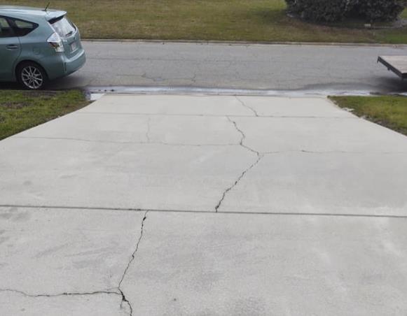 Tree Frog Roof and Exterior Cleaning: Service Image-4 Tree Frog Roof and Exterior Cleaning: Service Image-4