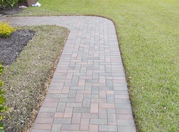 Tree Frog Roof and Exterior Cleaning: Service Image-7 Tree Frog Roof and Exterior Cleaning: Service Image-7