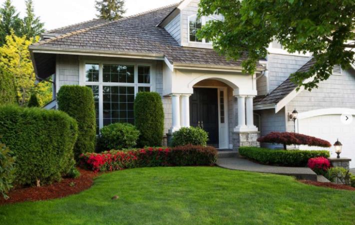 Tree Frog Roof and Exterior Cleaning: Service Image-0 Tree Frog Roof and Exterior Cleaning: Service Image-0